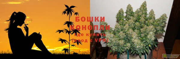 гидра Кинешма