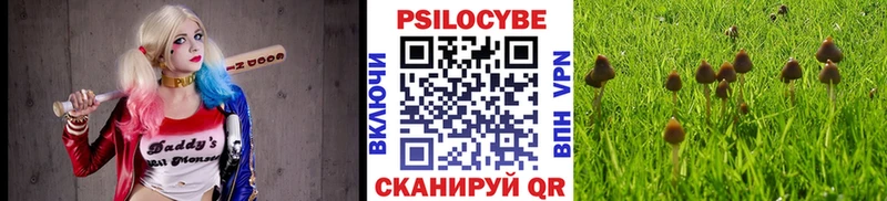 Купить закладки  Козьмодемьянск  Псилоцибиновые грибы ЛСД 